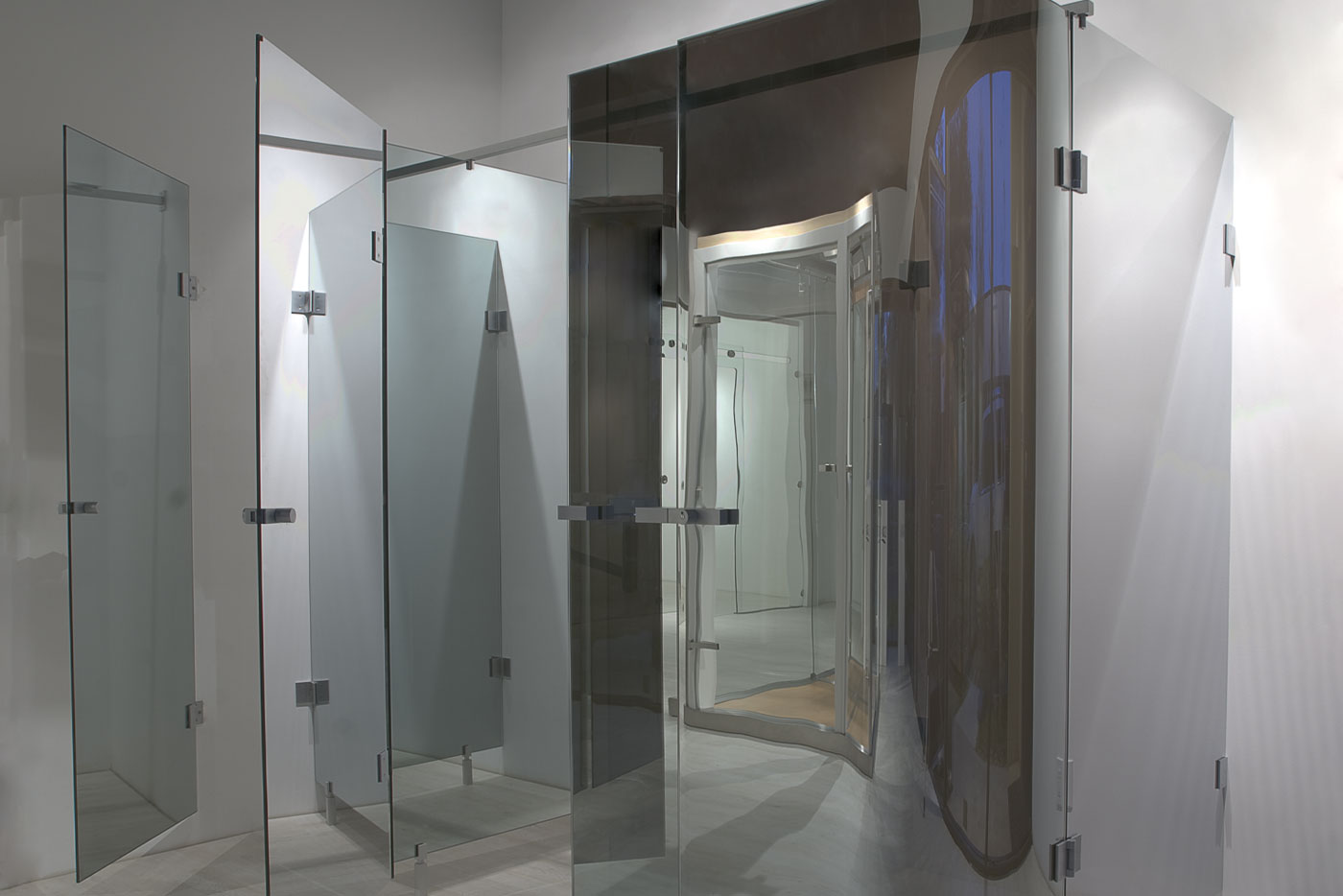 Wellness Partition